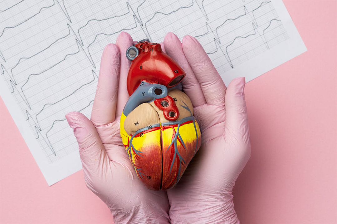 Heart Disease Treatment